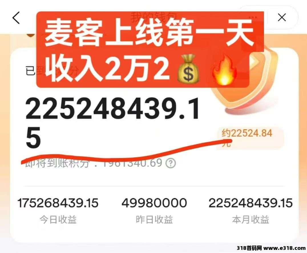 麦客3.0，多种玩法，大神一对一带你搞钱，可零撸！