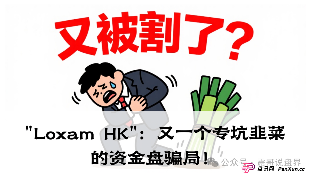 震哥带你扒皮＂Loxam HK＂：又一个专坑韭菜的资金盘骗局！