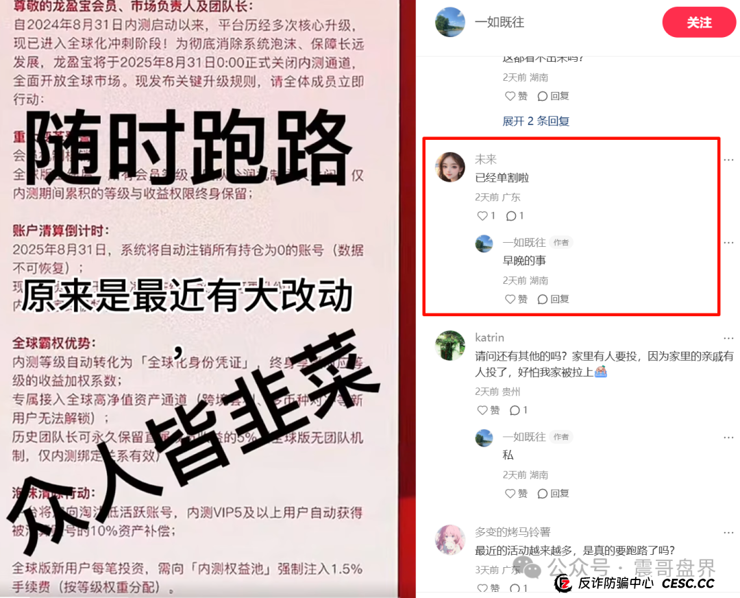 龙鸣联盟(龙盈宝)即将崩盘,震哥带你扒一扒这个专坑人的资金 龙鸣联盟(龙盈宝)即将崩盘,震哥带你扒一扒这个专坑人的资金