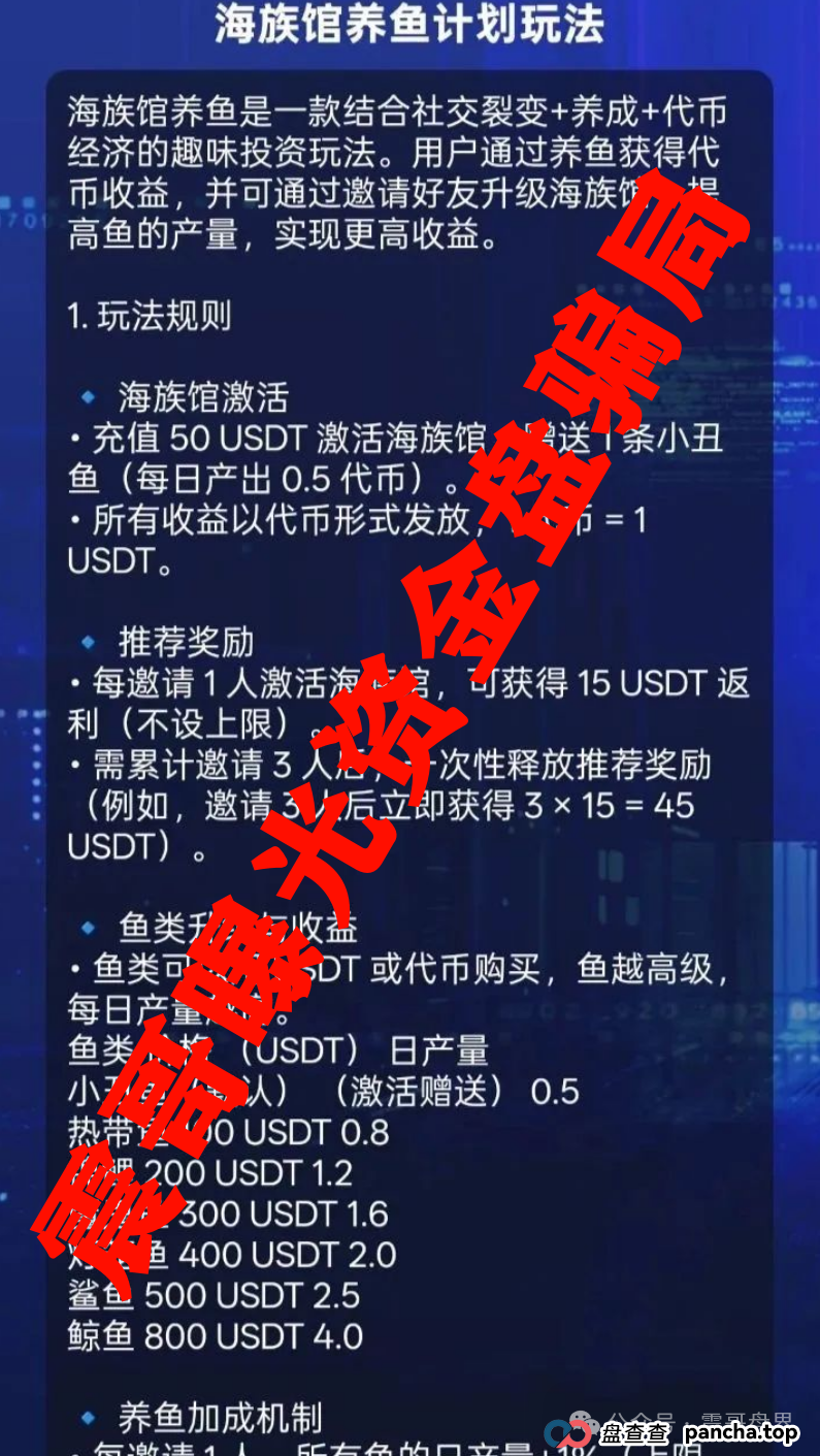 震哥扒皮Golden Link（睿讯）：带你避开这个资金盘连环套