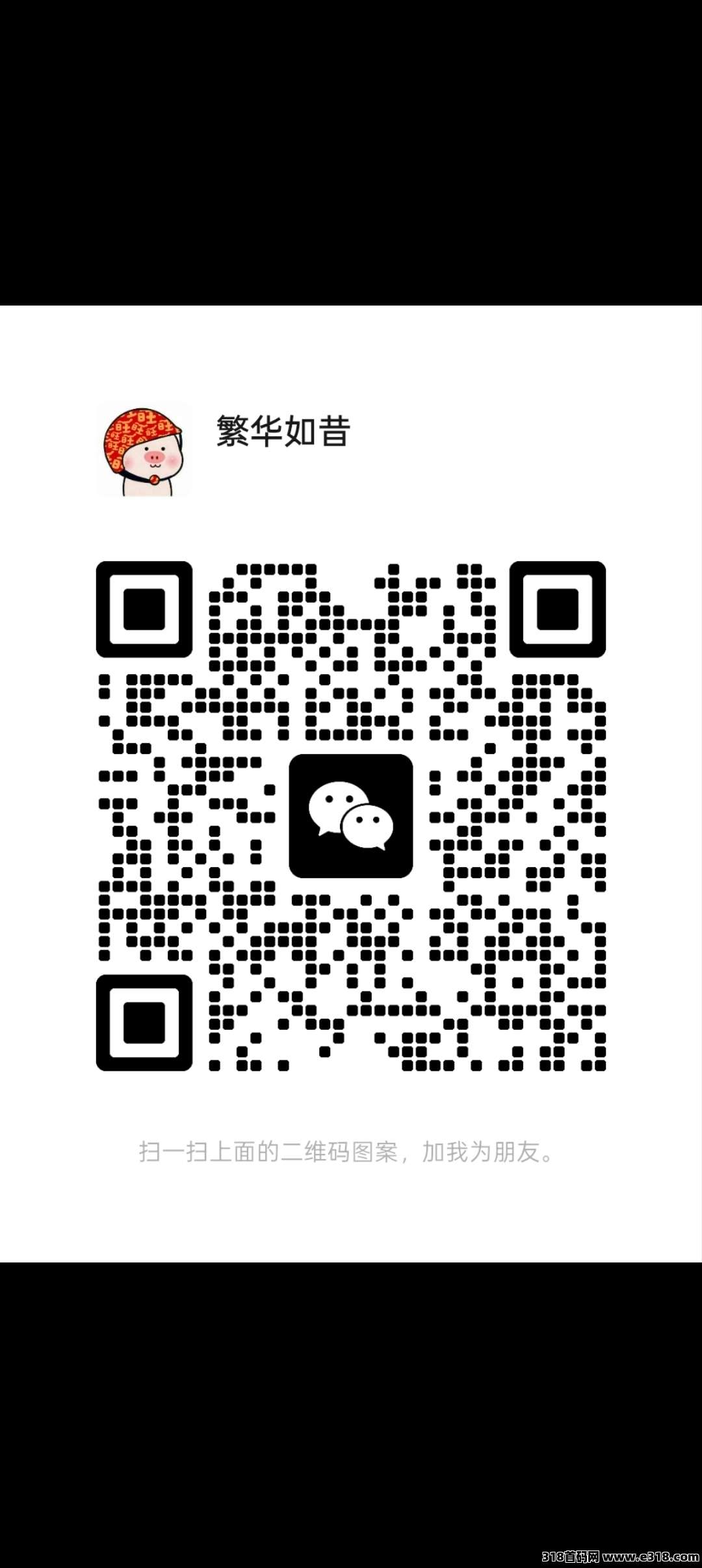 金点看首码刚出，每天保底收益