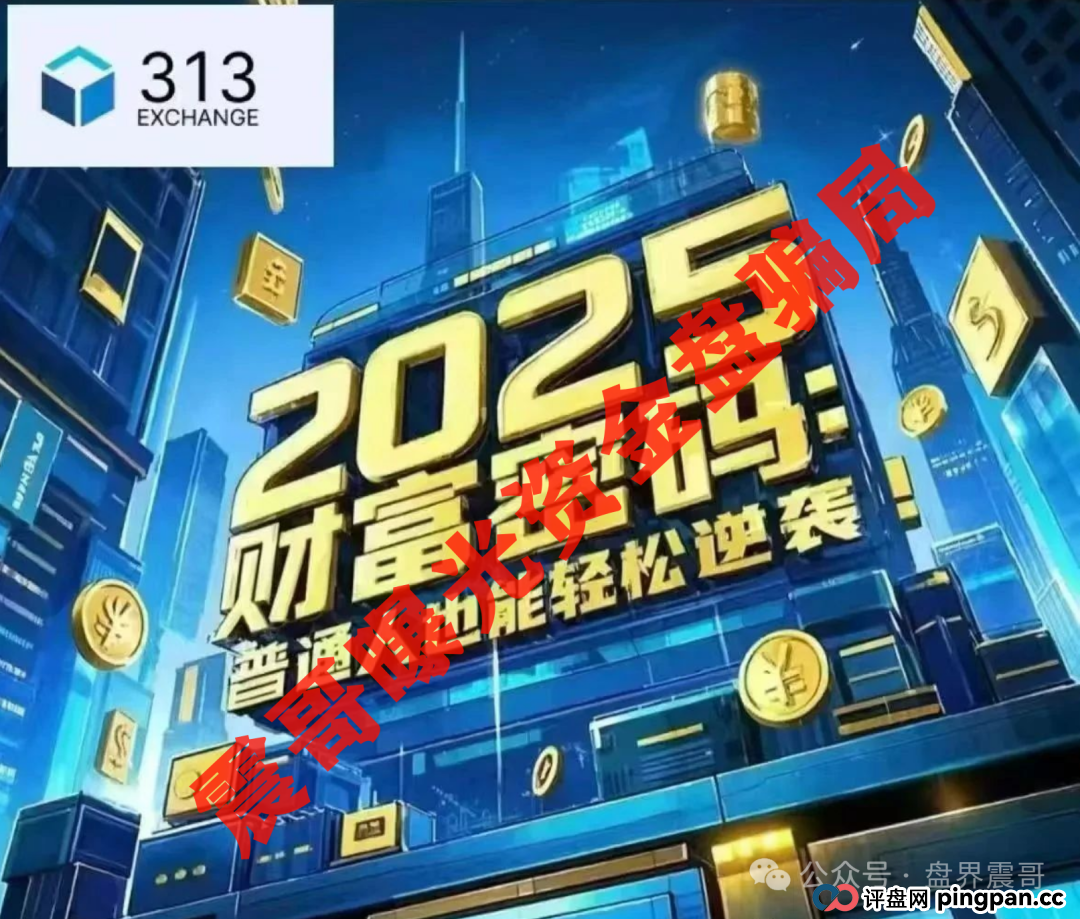 313交易所资金盘骗局，高度预警已到晚期，即将崩盘跑路