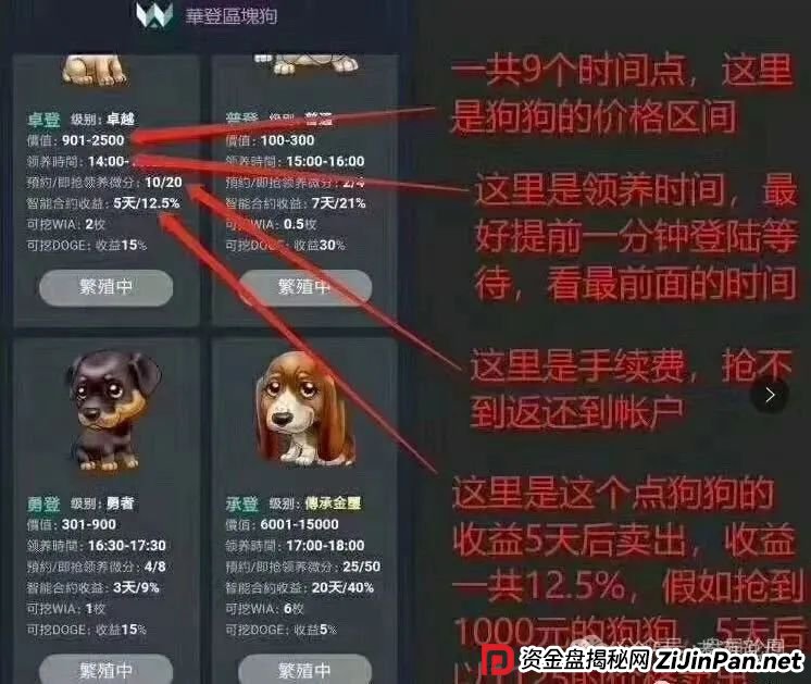 警惕【巢音世代】：实为资金盘运作，操盘手圈钱过亿，即将崩盘跑路！
