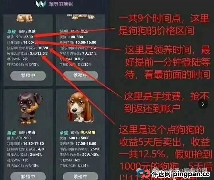 警惕！“巢音世代”华丽外衣下的资金盘真相 