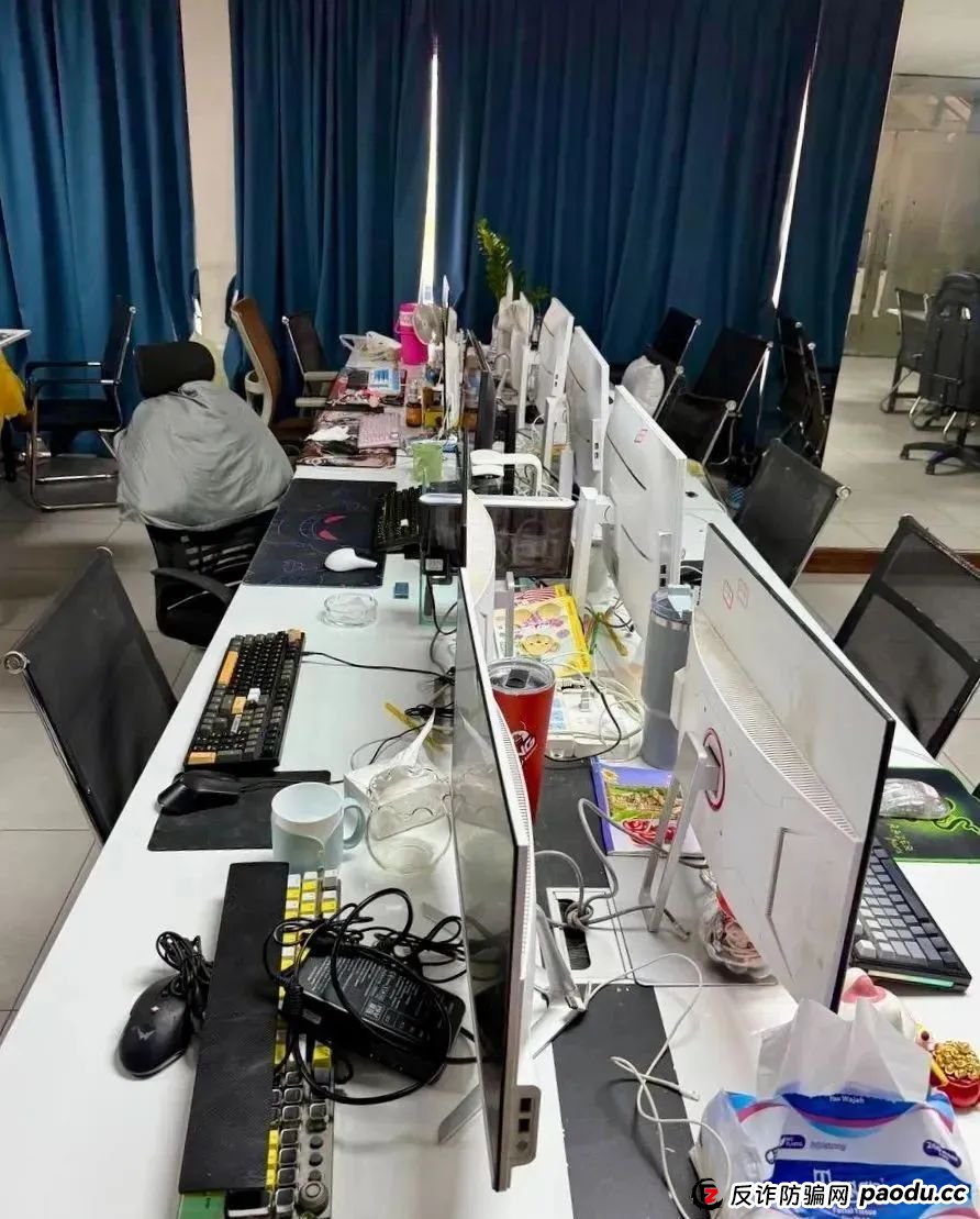 场面震撼!柬埔寨电诈园区上演集体大逃亡! 场面震撼!柬埔寨电诈园区上演集体大逃亡!