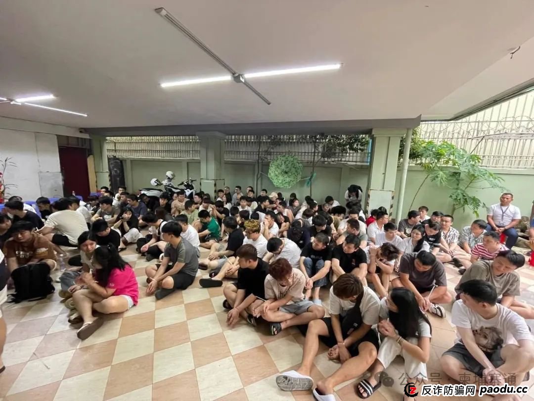 场面震撼!柬埔寨电诈园区上演集体大逃亡! 场面震撼!柬埔寨电诈园区上演集体大逃亡!