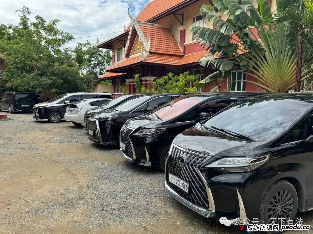 场面震撼!柬埔寨电诈园区上演集体大逃亡! 场面震撼!柬埔寨电诈园区上演集体大逃亡!