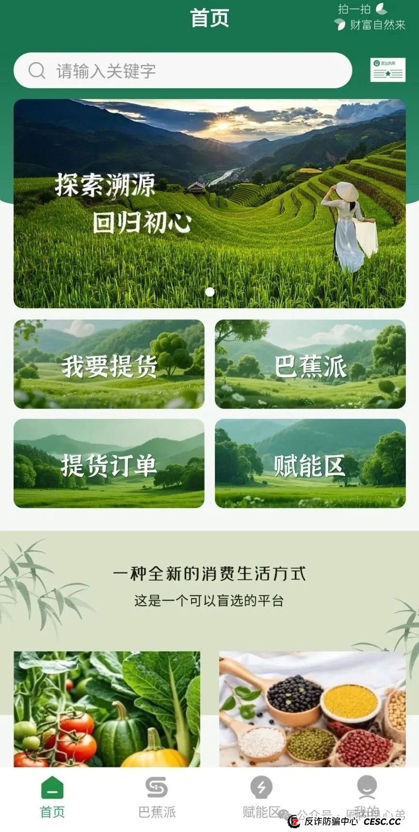 悠然境-巴蕉派小红蕉，互助竞拍骗局，多数投资者反应，提现不到账