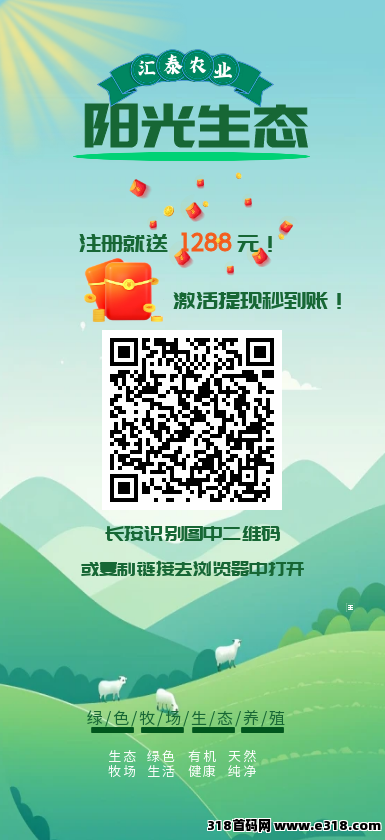 阳光生态最新首码项目，速度冲，官方扶持提米秒到，对接政策拉满