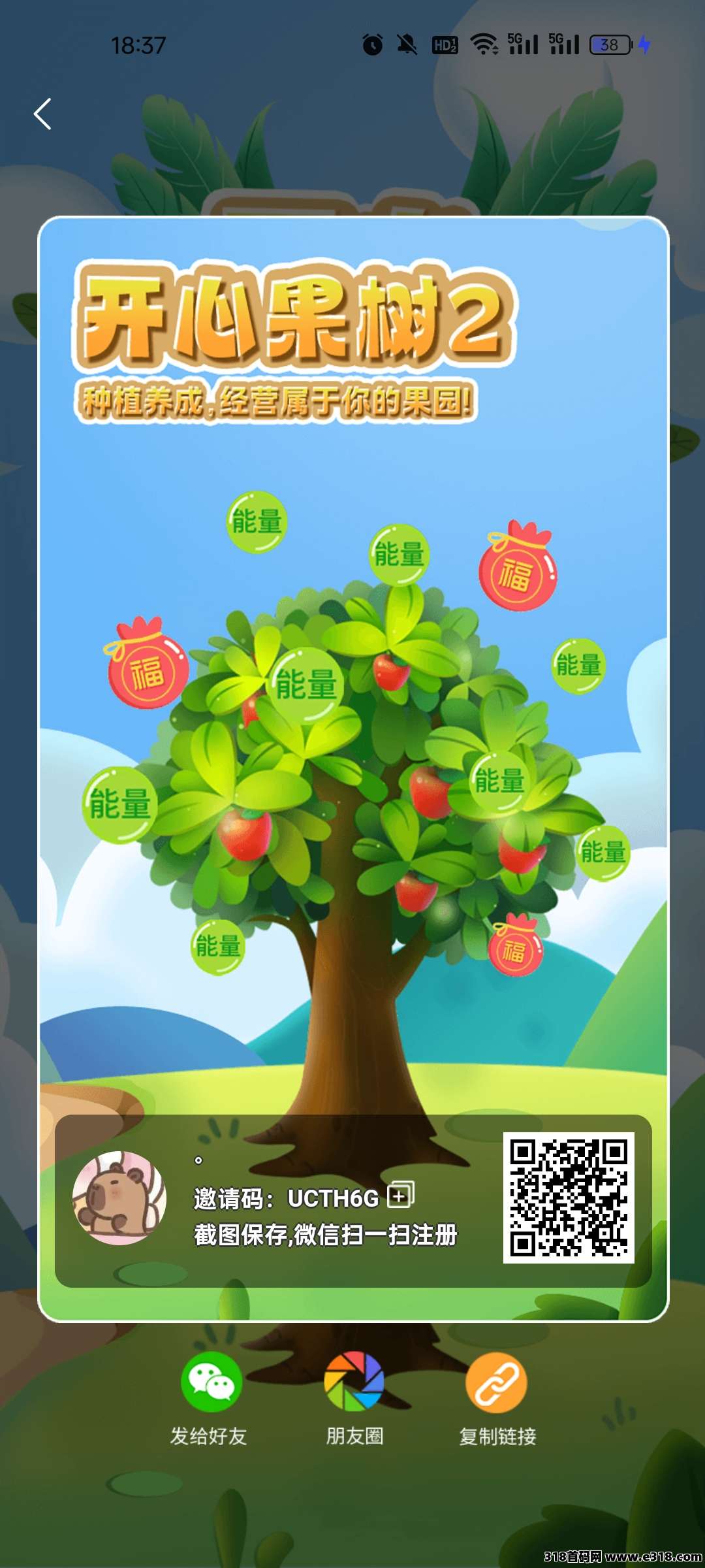 开心果树，每天零撸1.3能量