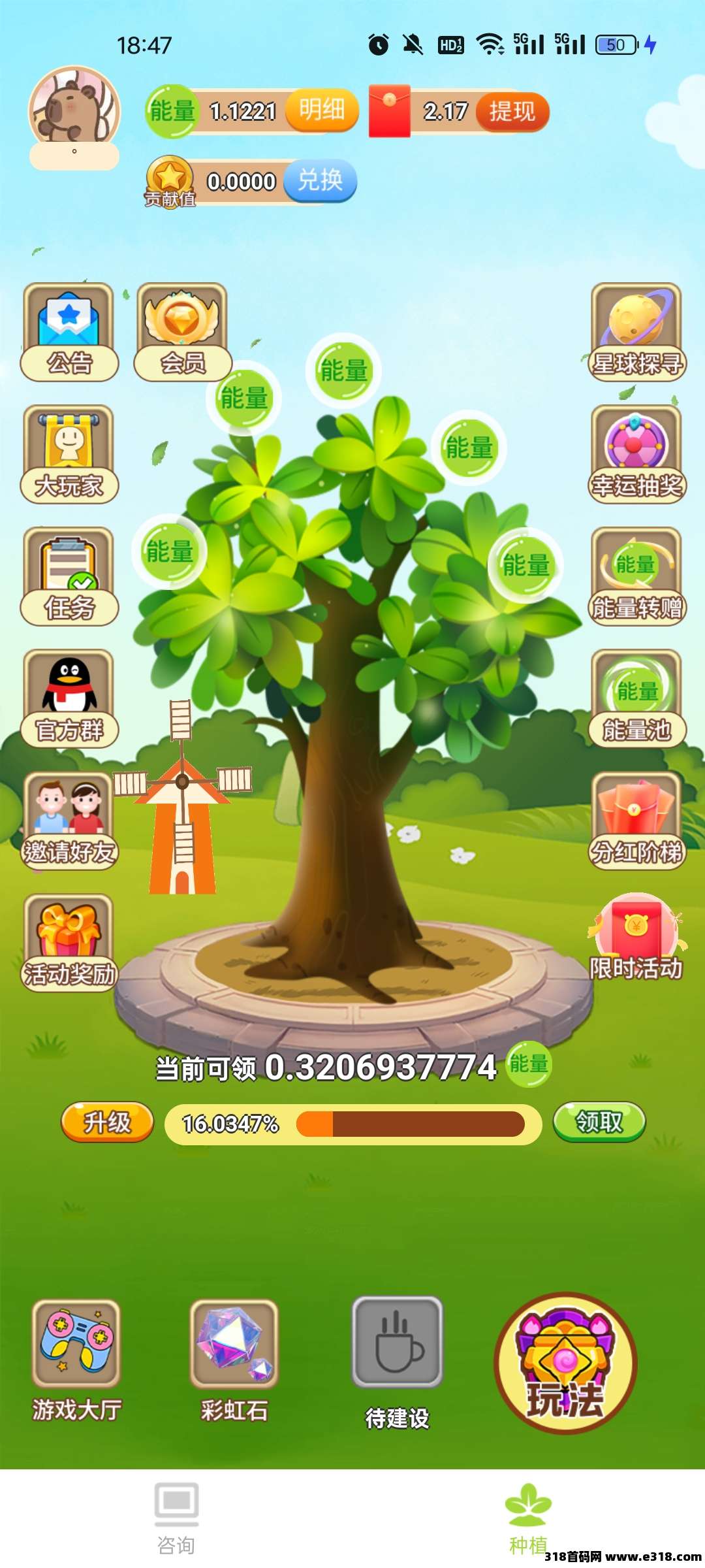 开心果树,每天零撸1.3能量 开心果树,每天零撸1.3能量