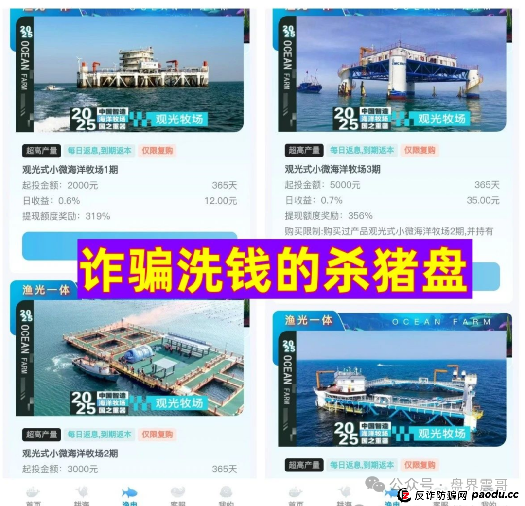 海洋牧场资金盘骗局！震哥教你识破割韭菜新套路
