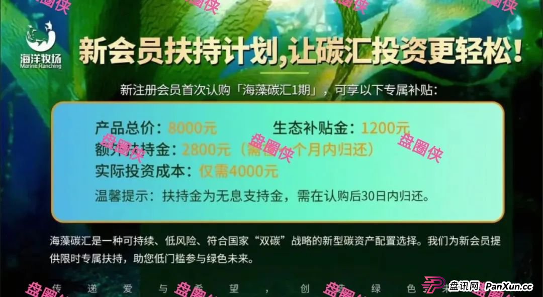 8月28日曝光‼️最新资金盘诈骗项目，东南财富，海洋牧场，嗨贝短剧随时可能卷钱跑路。