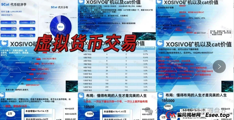 警告！Cococat web3菠萝猫＂CAT代币＂“质押挖矿”传销骗局