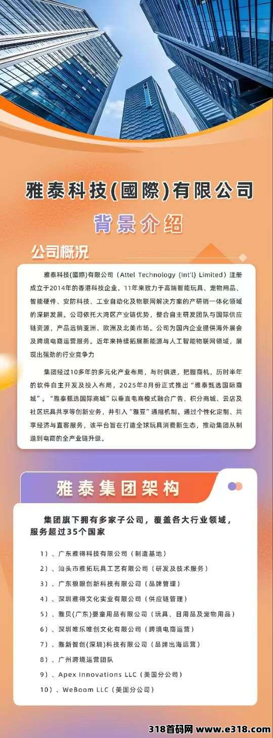 雅得甄选  2025黑马项目  零撸之王
