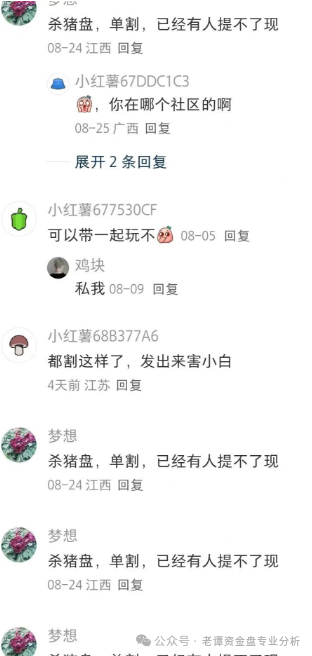 关于“睿盛环球＂项目的情况我必须提醒大家警惕这个高风险资金盘。该项目前身曾用名＂博瑞通＂＂晟盛环球＂频繁更名是典型资金盘特征。