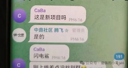 VAX刚崩，“闪电鲨AI”又来了！原班人马换皮收割，这次别再上当！