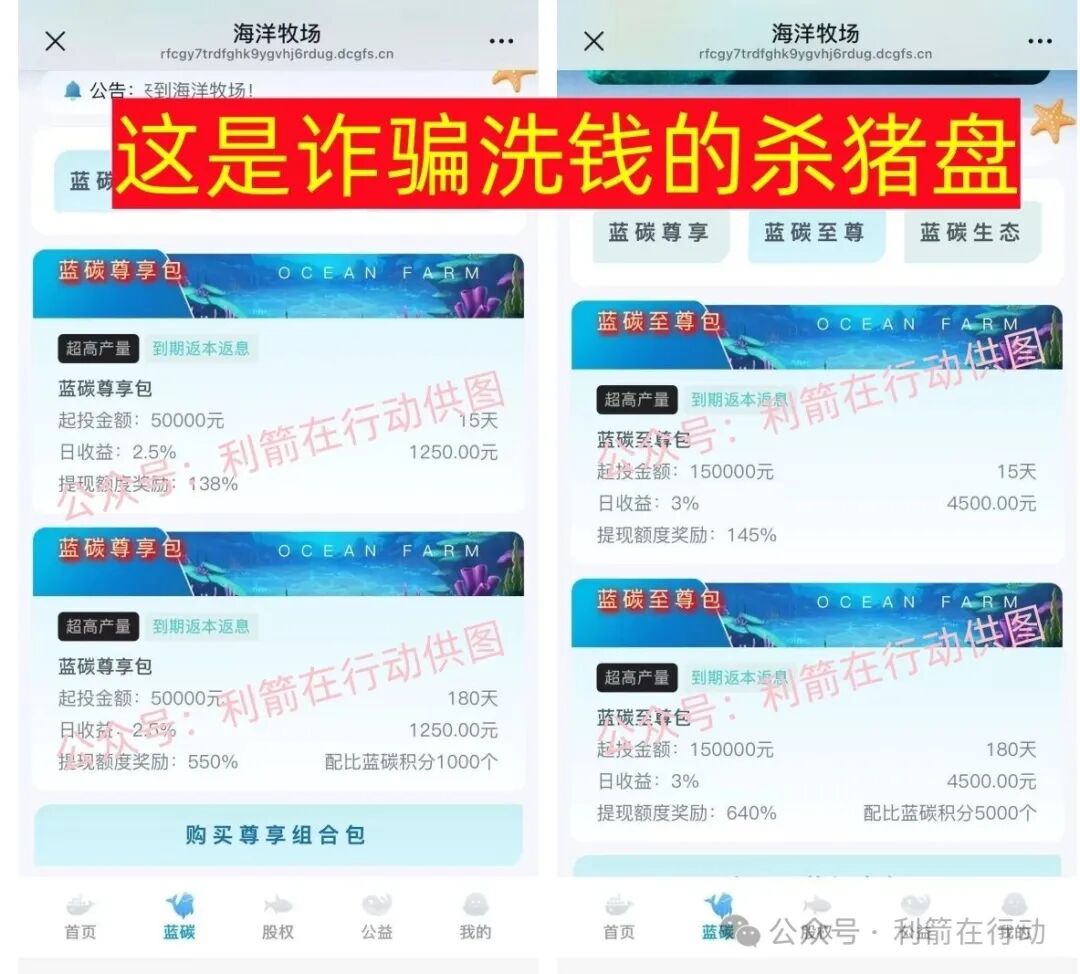 这18个互联网新项目是骗局，其中有人被骗60万，请别上当！