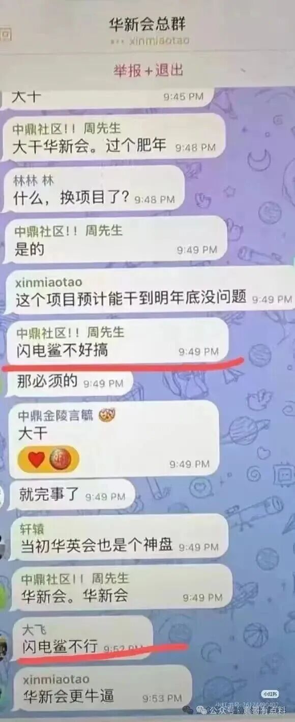 闪电鲨AI是资金盘骗局，VAX翻版，即将崩盘