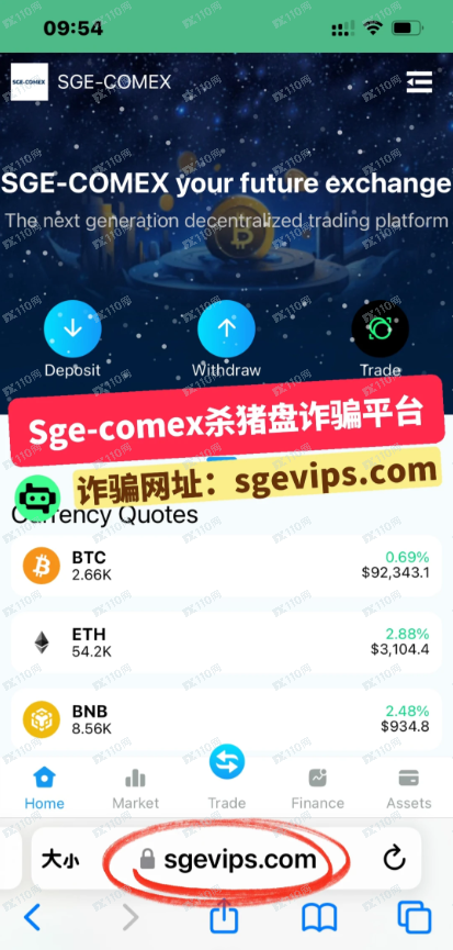 SGE-COMEX虚假交易，诈骗黑平台币杀猪盘！