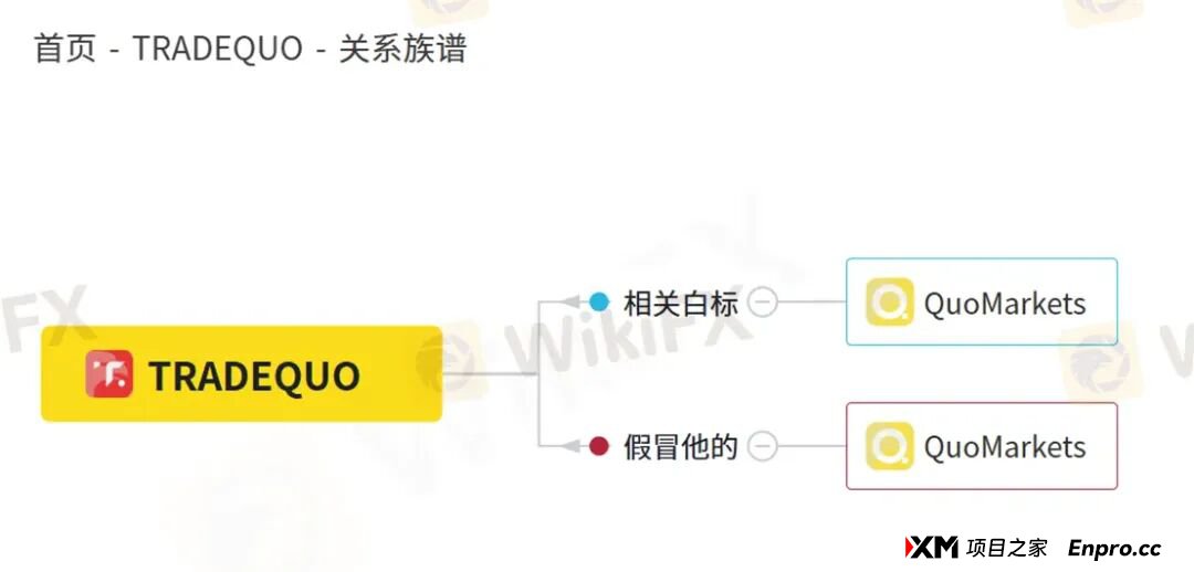百倍的收益曲线难掩真相 为何TRADEQUO平台的跟单不可信!(7) 百倍的收益曲线难掩真相 为何TRADEQUO平台的跟单不可信!(7)
