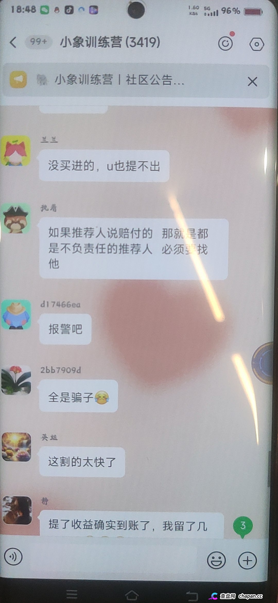 大象社区杀猪盘全面崩盘血洗实录：一夜爆仓4000万，群内全员禁言，狗托＂兵哥＂还在忽悠充值抄底，受害者已集体
